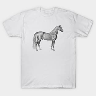 Palomino Horse Black and White Illustration T-Shirt